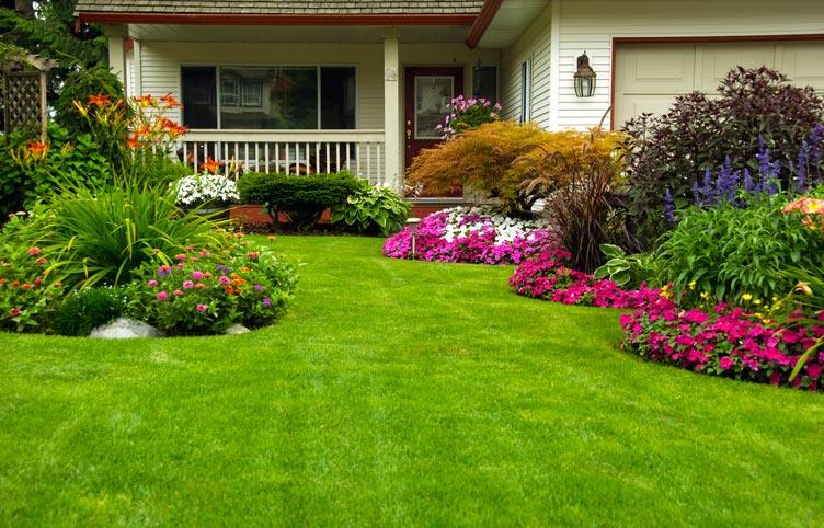 residential-landscaping-services